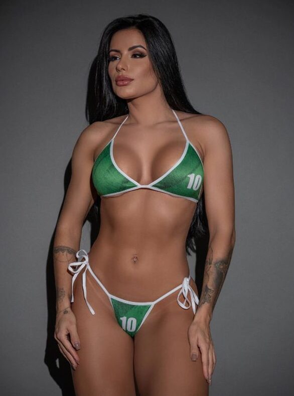 FANTASIA TORCEDORA DO PALMEIRAS